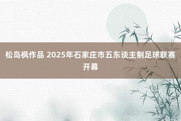 松岛枫作品 2025年石家庄市五东谈主制足球联赛开幕
