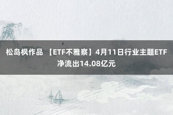 松岛枫作品 【ETF不雅察】4月11日行业主题ETF净流出14.08亿元
