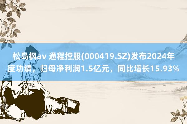 松岛枫av 通程控股(000419.SZ)发布2024年度功绩，归母净利润1.5亿元，同比增长15.93%
