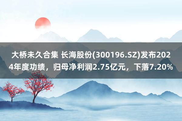 大桥未久合集 长海股份(300196.SZ)发布2024年度功绩，归母净利润2.75亿元，下落7.20%