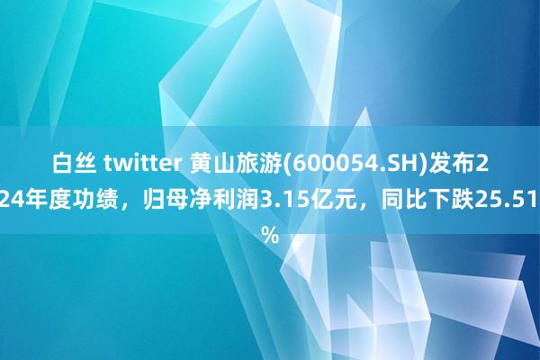 白丝 twitter 黄山旅游(600054.SH)发布2024年度功绩，归母净利润3.15亿元，同比下跌25.51%
