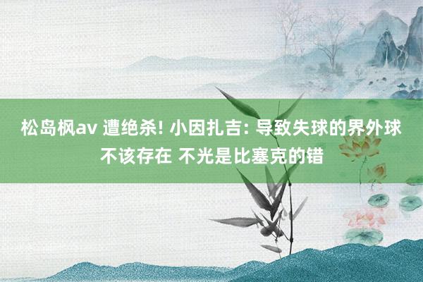 松岛枫av 遭绝杀! 小因扎吉: 导致失球的界外球不该存在 不光是比塞克的错