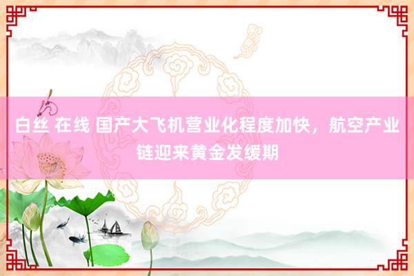 白丝 在线 国产大飞机营业化程度加快，航空产业链迎来黄金发缓期