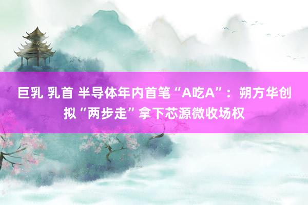 巨乳 乳首 半导体年内首笔“A吃A”：朔方华创拟“两步走”拿下芯源微收场权