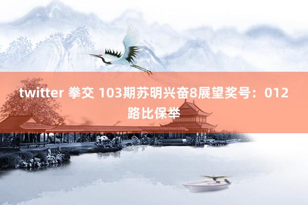 twitter 拳交 103期苏明兴奋8展望奖号：012路比保举