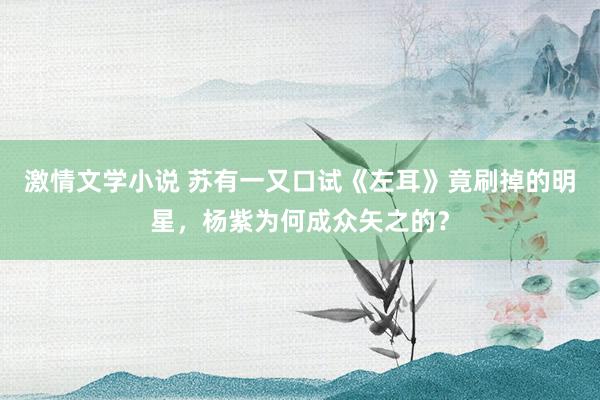 激情文学小说 苏有一又口试《左耳》竟刷掉的明星，杨紫为何成众矢之的？